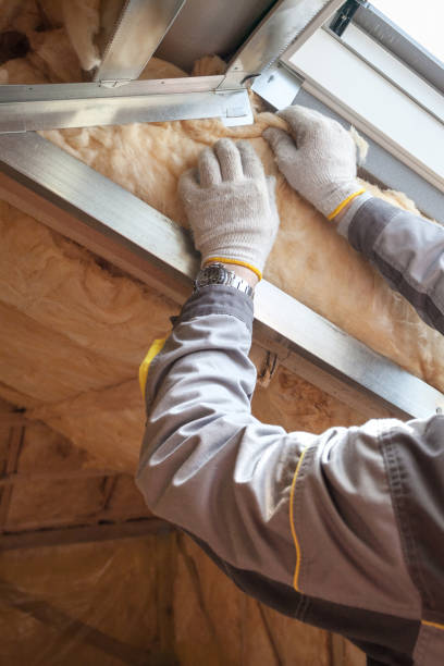 Professional Insulation Installation & Removal in Spring Arbor, MI